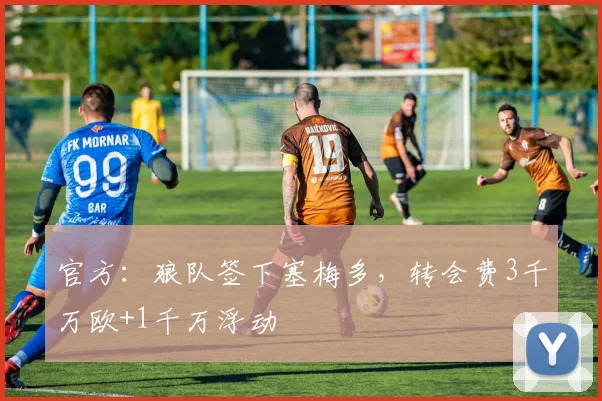 官方：狼队签下塞梅多，转会费3千万欧+1千万浮动